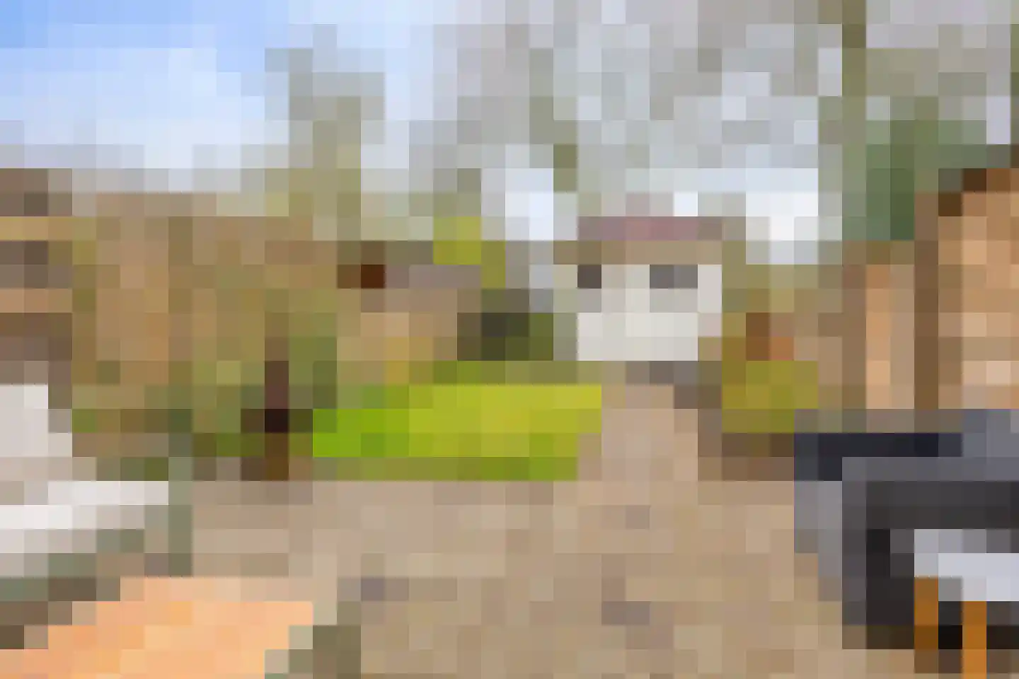 Spaanse Aakstraat 5 Groningen thumbnail 4