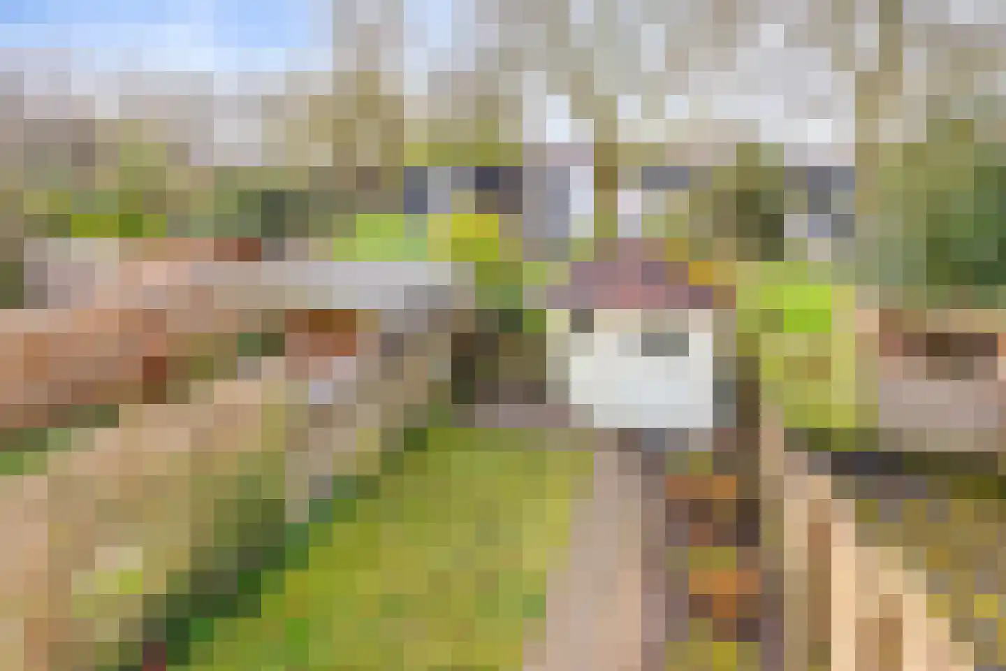 Spaanse Aakstraat 5 Groningen thumbnail 40