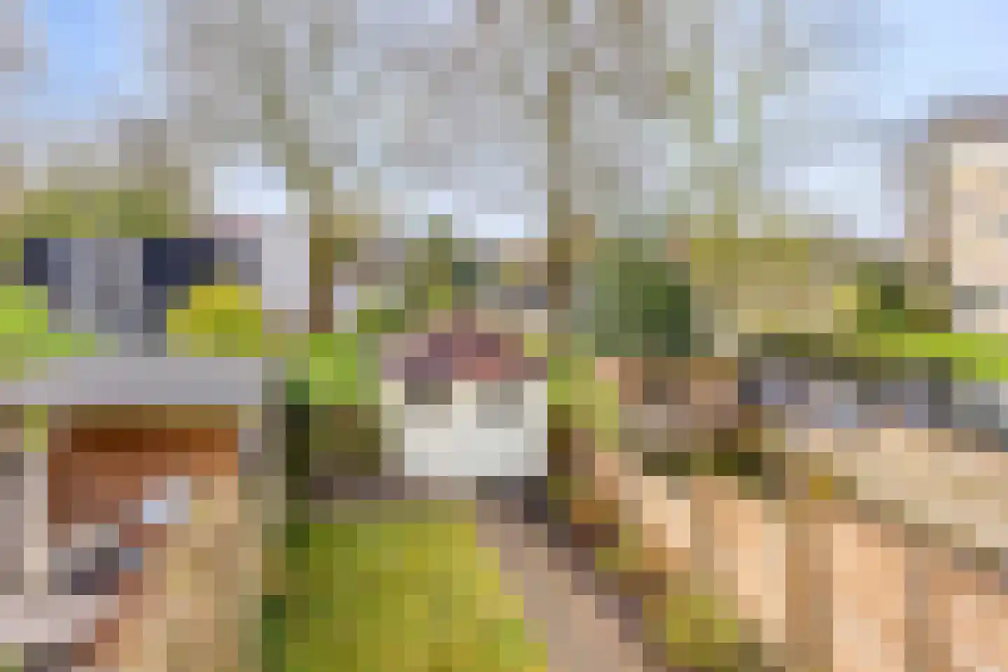 Spaanse Aakstraat 5 Groningen thumbnail 41