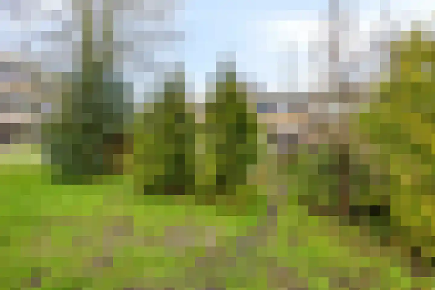 Spaanse Aakstraat 5 Groningen thumbnail 43