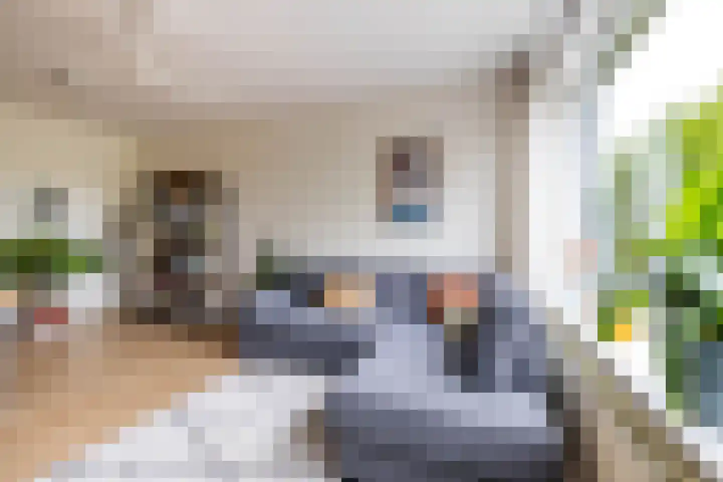 Spaanse Aakstraat 81 Groningen thumbnail 13