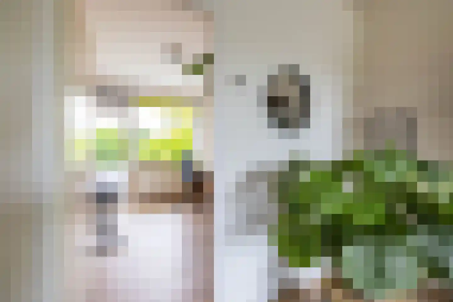 Spaanse Aakstraat 81 Groningen thumbnail 14