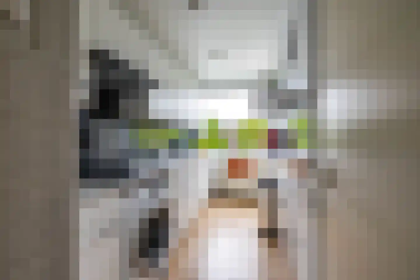 Spaanse Aakstraat 81 Groningen thumbnail 21