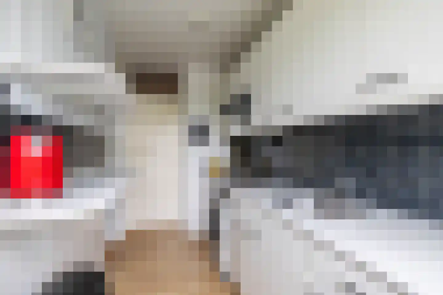 Spaanse Aakstraat 81 Groningen thumbnail 23