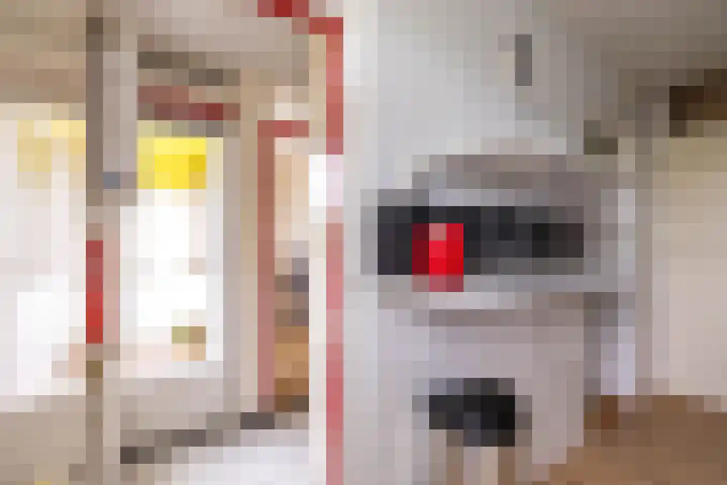 Spaanse Aakstraat 81 Groningen thumbnail 25