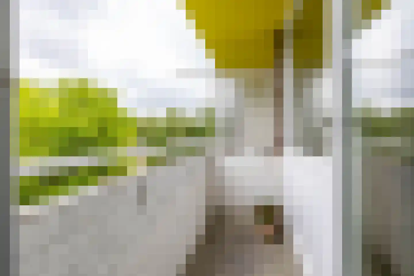 Spaanse Aakstraat 81 Groningen thumbnail 28