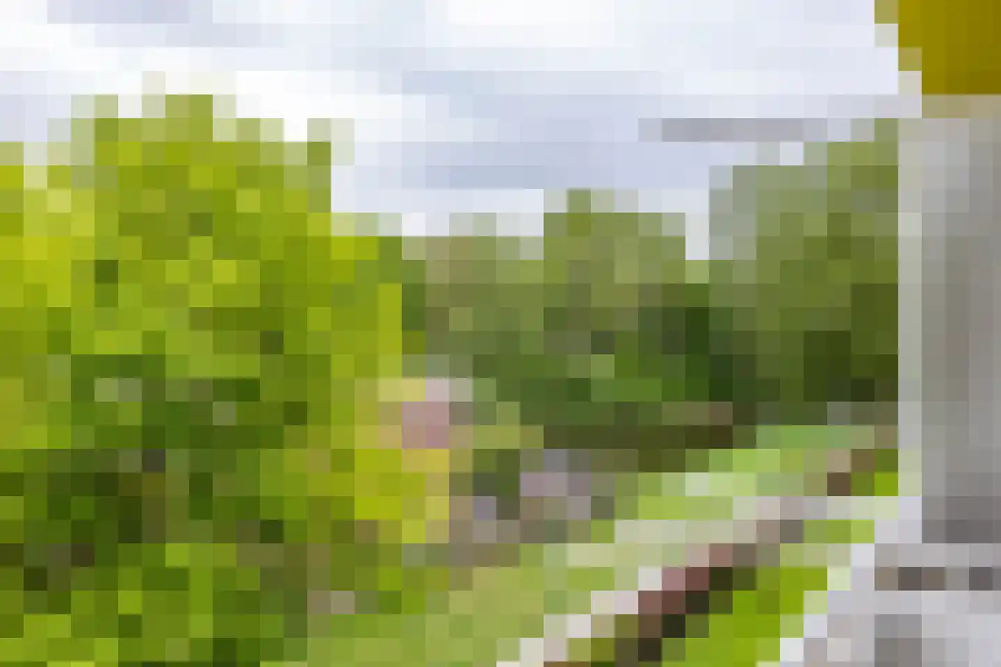 Spaanse Aakstraat 81 Groningen thumbnail 29