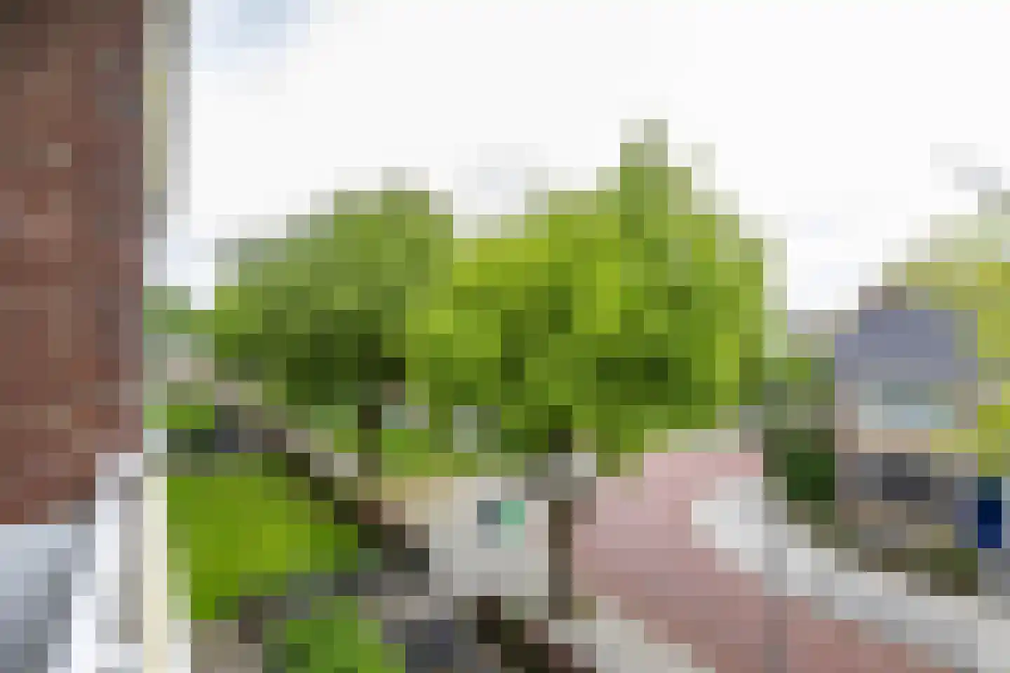 Spaanse Aakstraat 81 Groningen thumbnail 34
