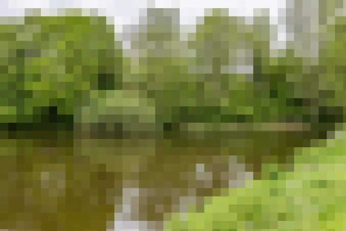 Spaanse Aakstraat 81 Groningen thumbnail 37