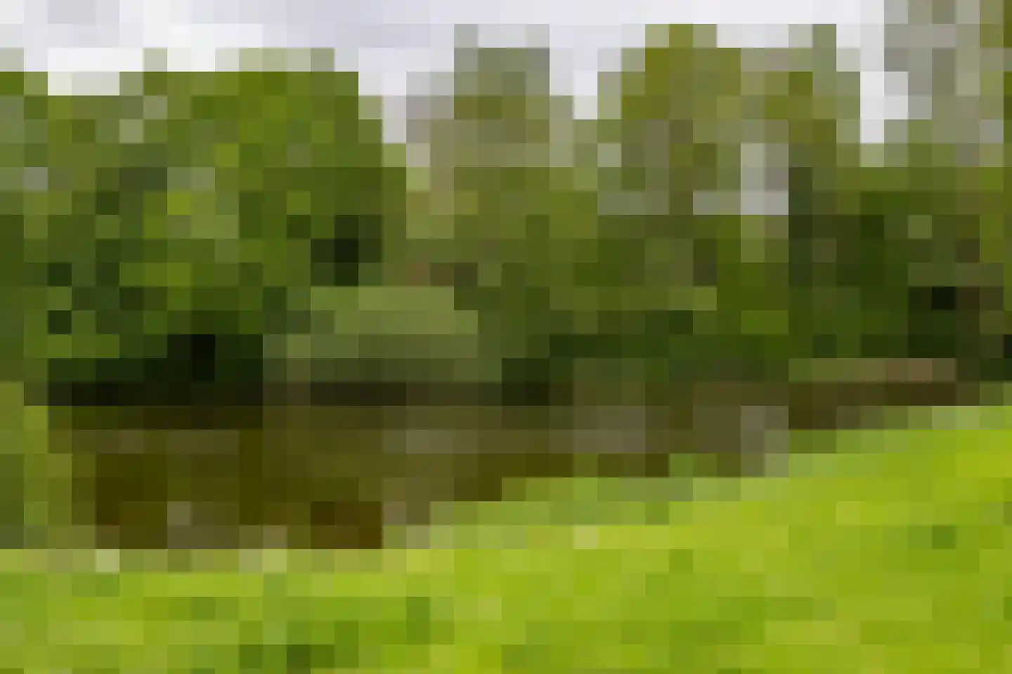 Spaanse Aakstraat 81 Groningen thumbnail 38