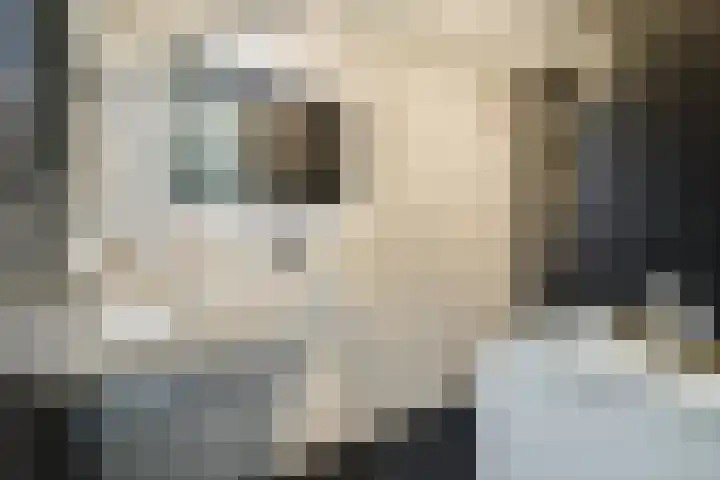 Spaanse Brabanderstraat 15 Amsterdam thumbnail 10