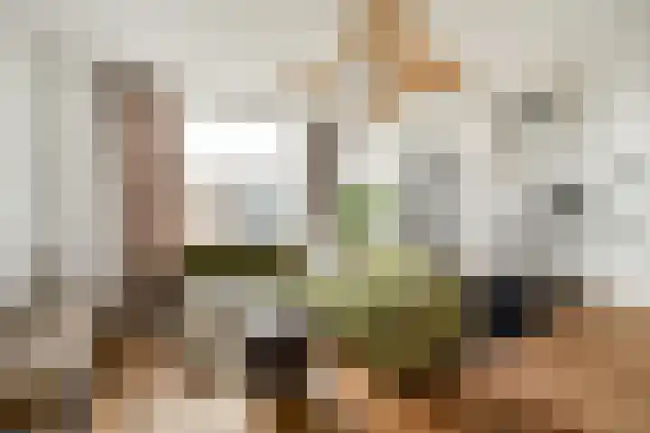 Spaanse Brabanderstraat 15 Amsterdam thumbnail 5