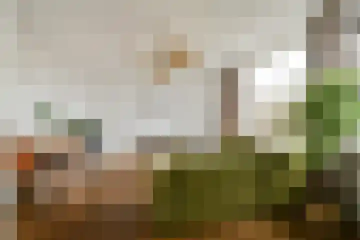 Spaanse Brabanderstraat 15 Amsterdam thumbnail 6