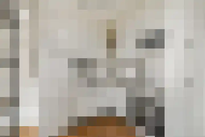 Spaanse Brabanderstraat 15 Amsterdam thumbnail 7