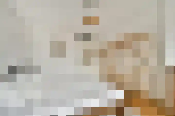 Spaanse Brabanderstraat 15 Amsterdam thumbnail 8