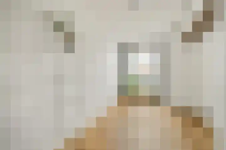Spaanse Brabanderstraat 15 Amsterdam thumbnail 9