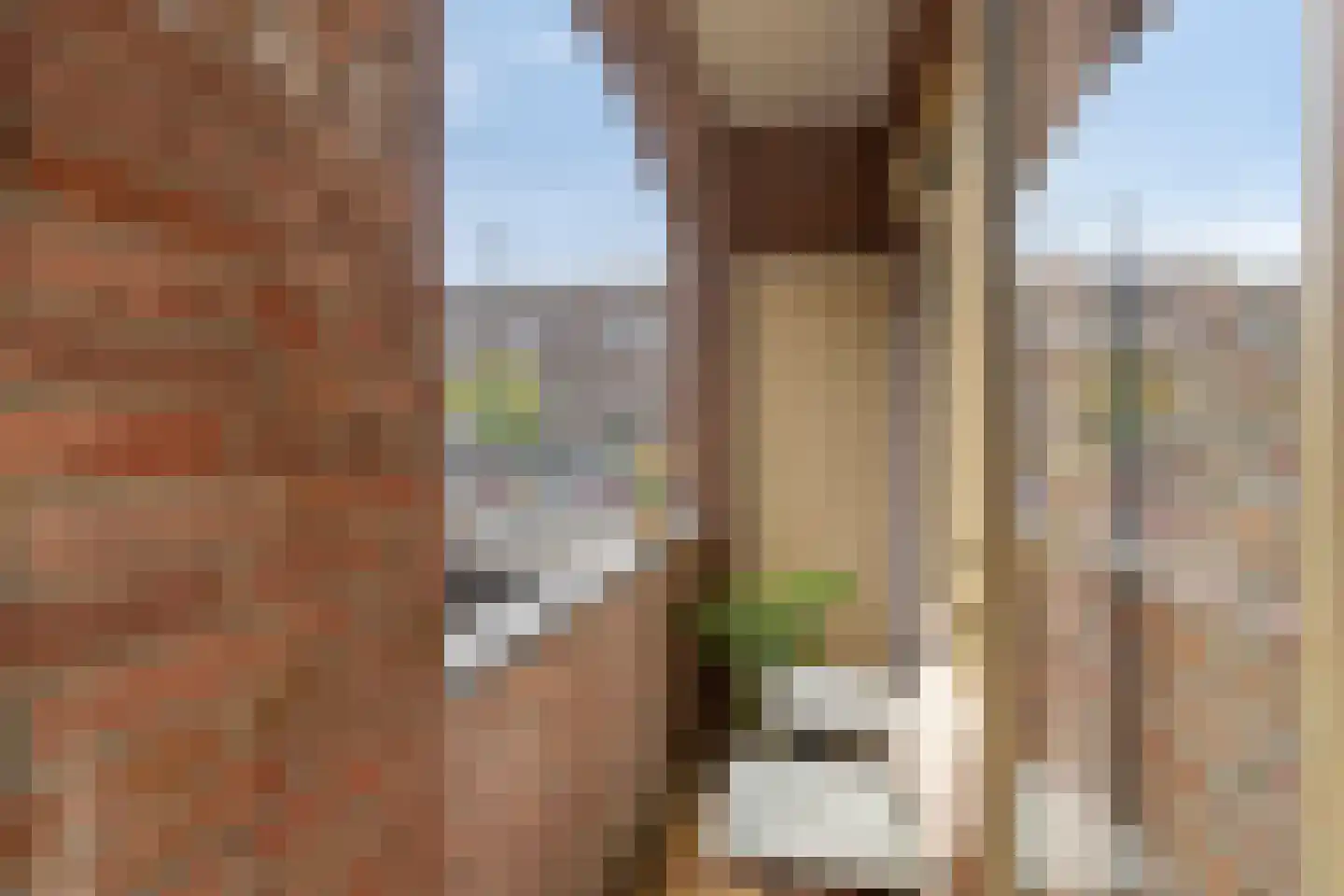 Spaanse Brabanderstraat 2 Amsterdam thumbnail 18