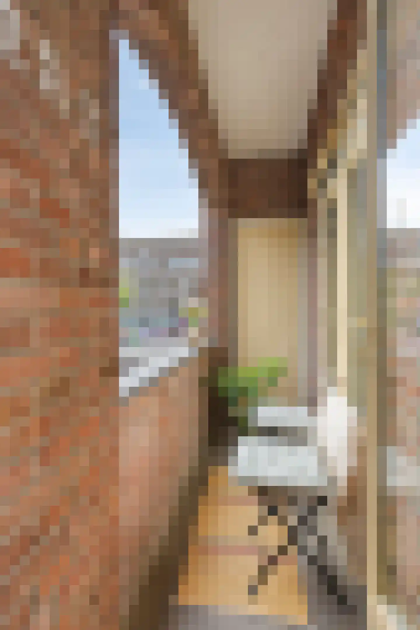 Spaanse Brabanderstraat 2 Amsterdam thumbnail 19