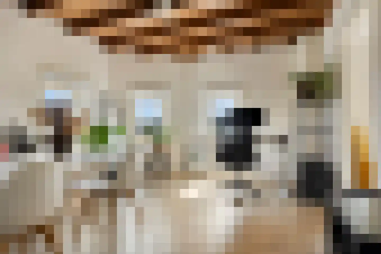 Spaanse Brabanderstraat 2 Amsterdam thumbnail 22