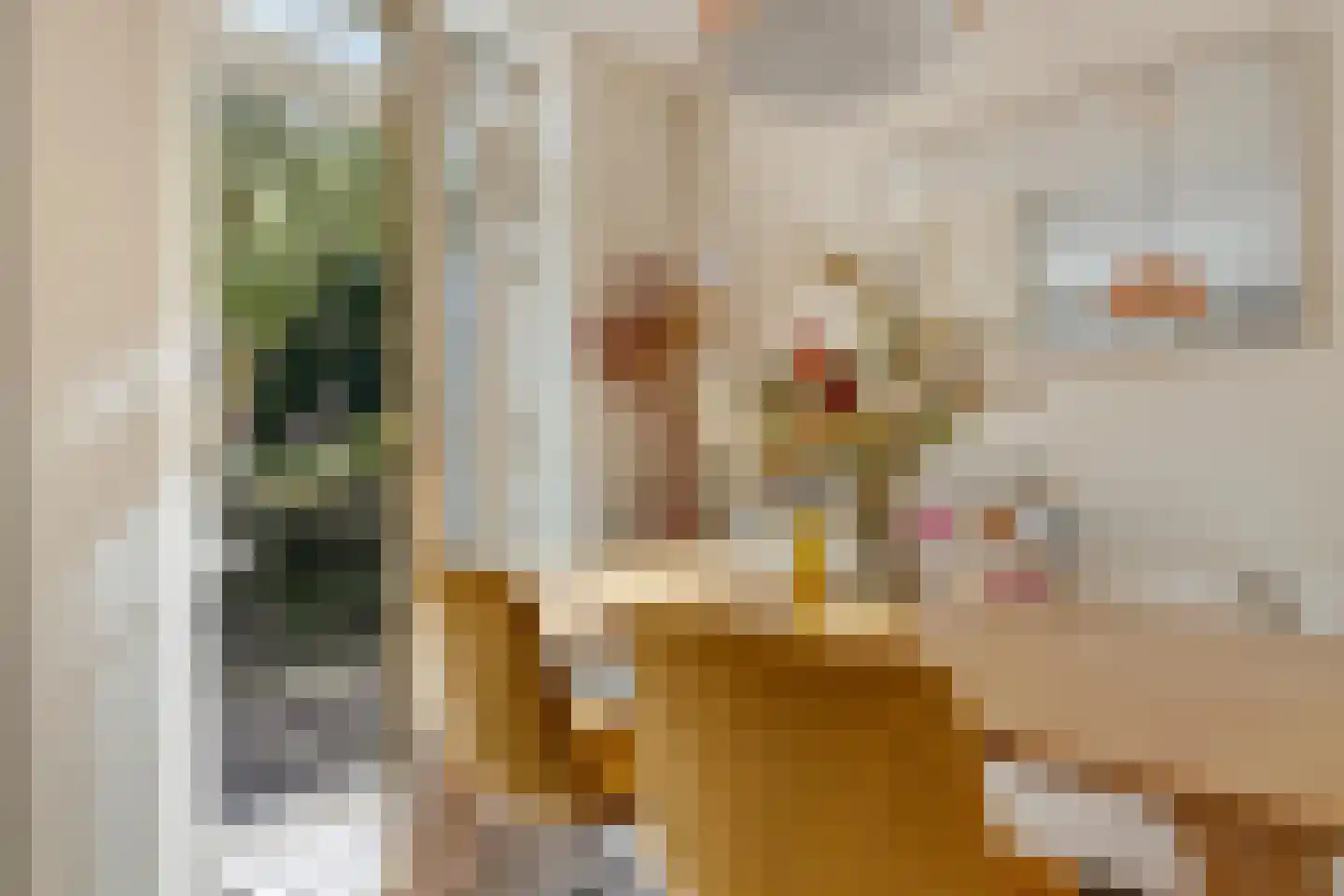 Spaanse Brabanderstraat 2 Amsterdam thumbnail 7