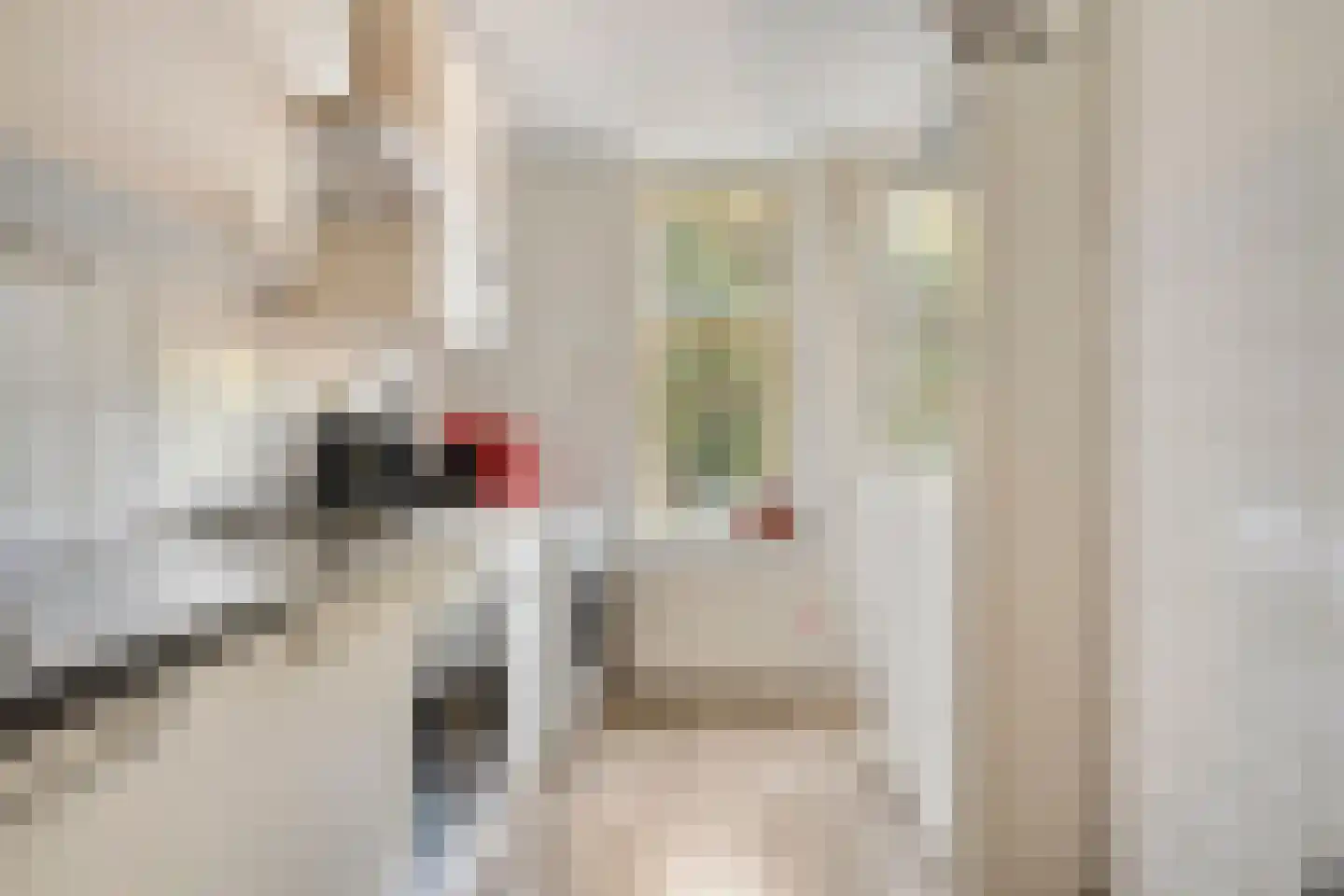 Spaanse Brabanderstraat 2 Amsterdam thumbnail 9