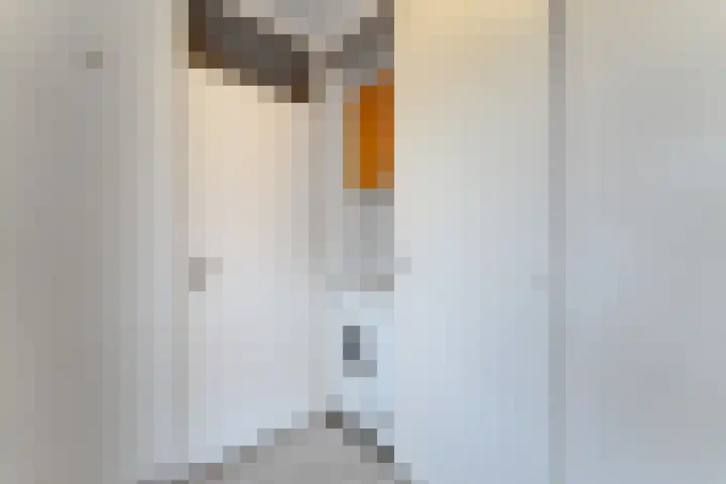 Spaanse Galeien 104 Retranchement thumbnail 17