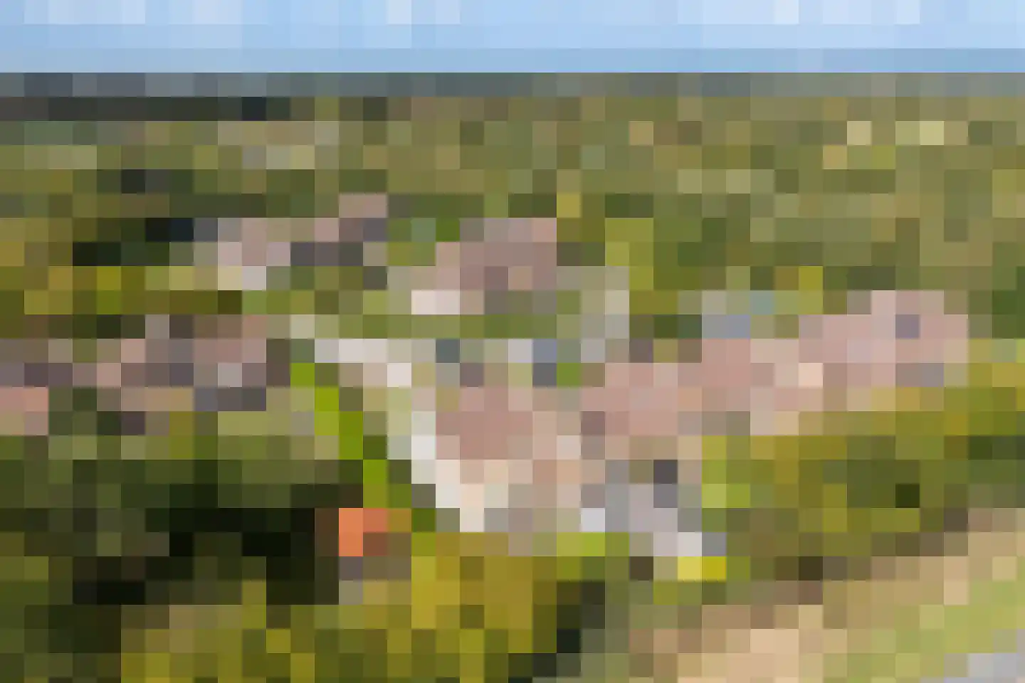 Spaanse Galeien 104 Retranchement thumbnail 23