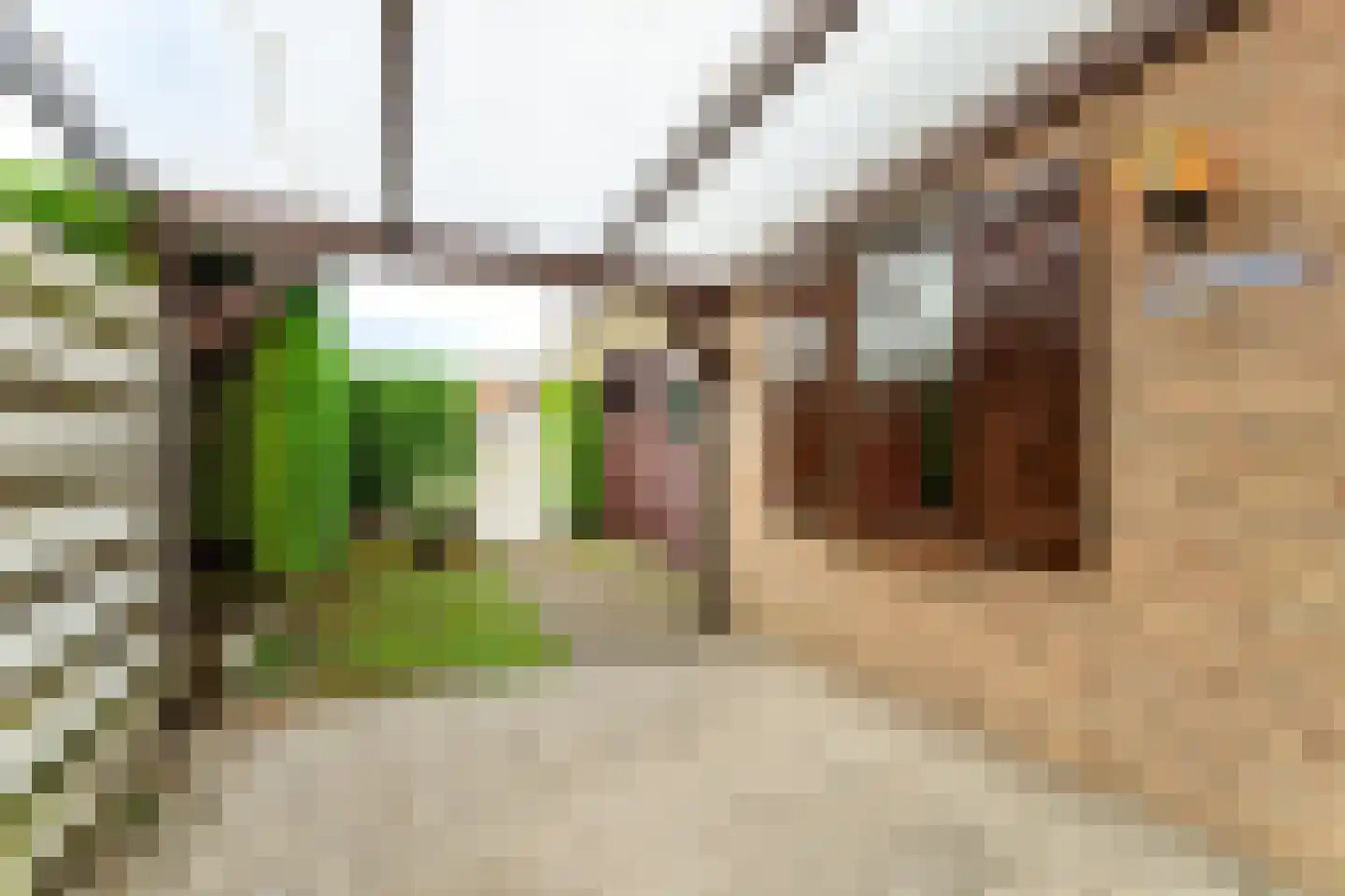 Spaanse Galeien 19 Retranchement thumbnail 19
