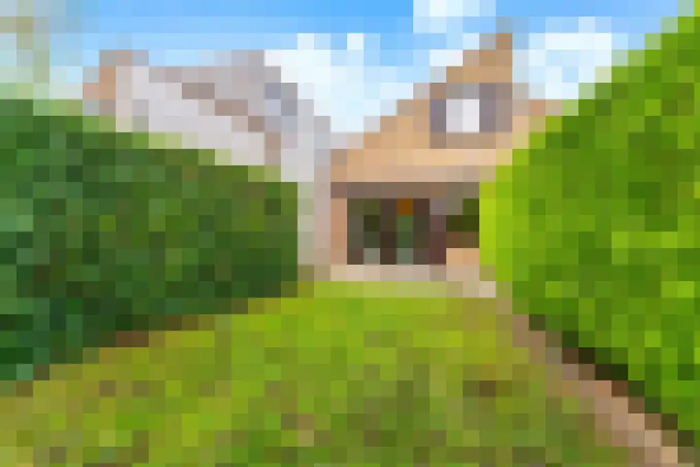 Spaanse Galeien 19 Retranchement thumbnail 21
