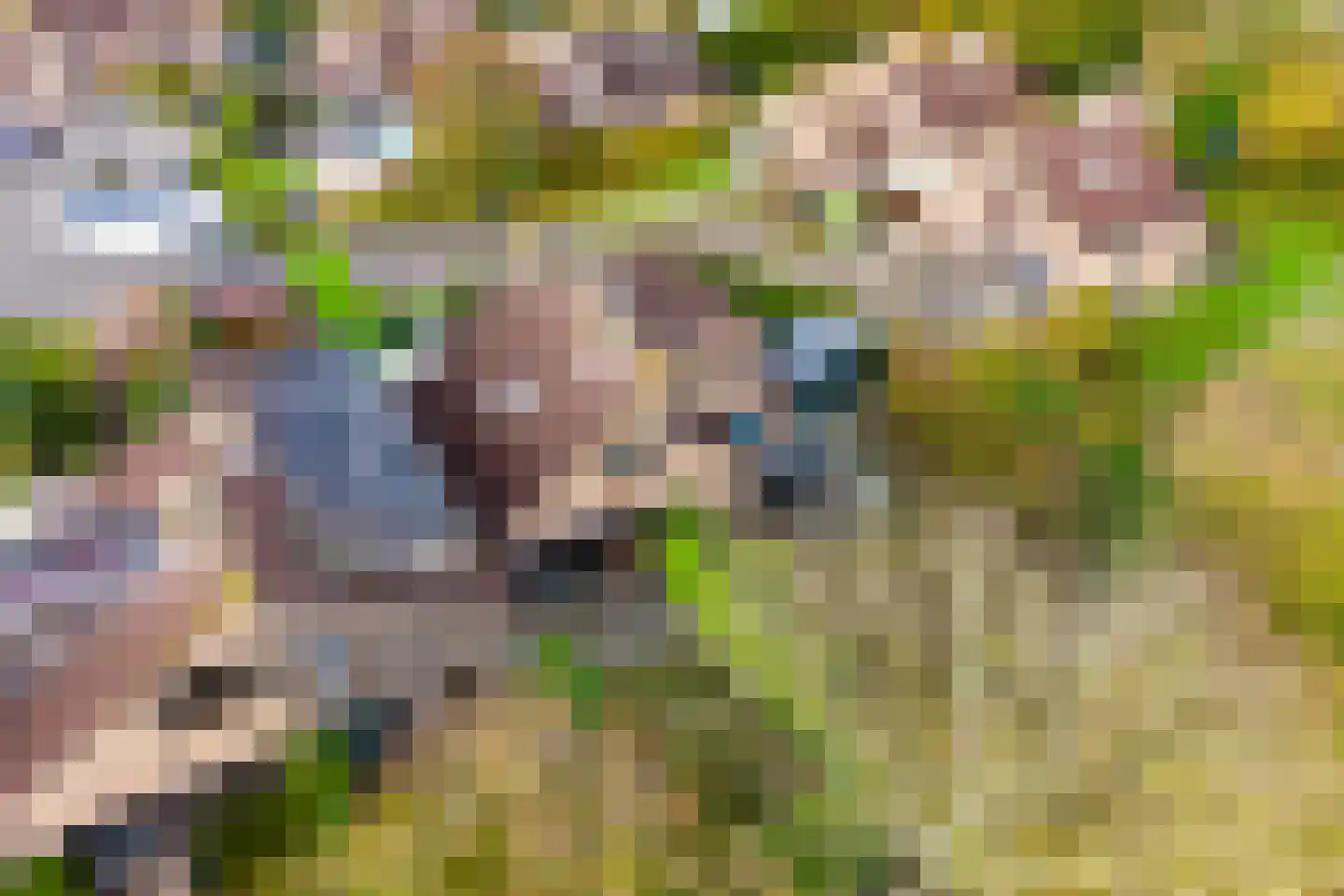 Spaanse Galeien 19 Retranchement thumbnail 25