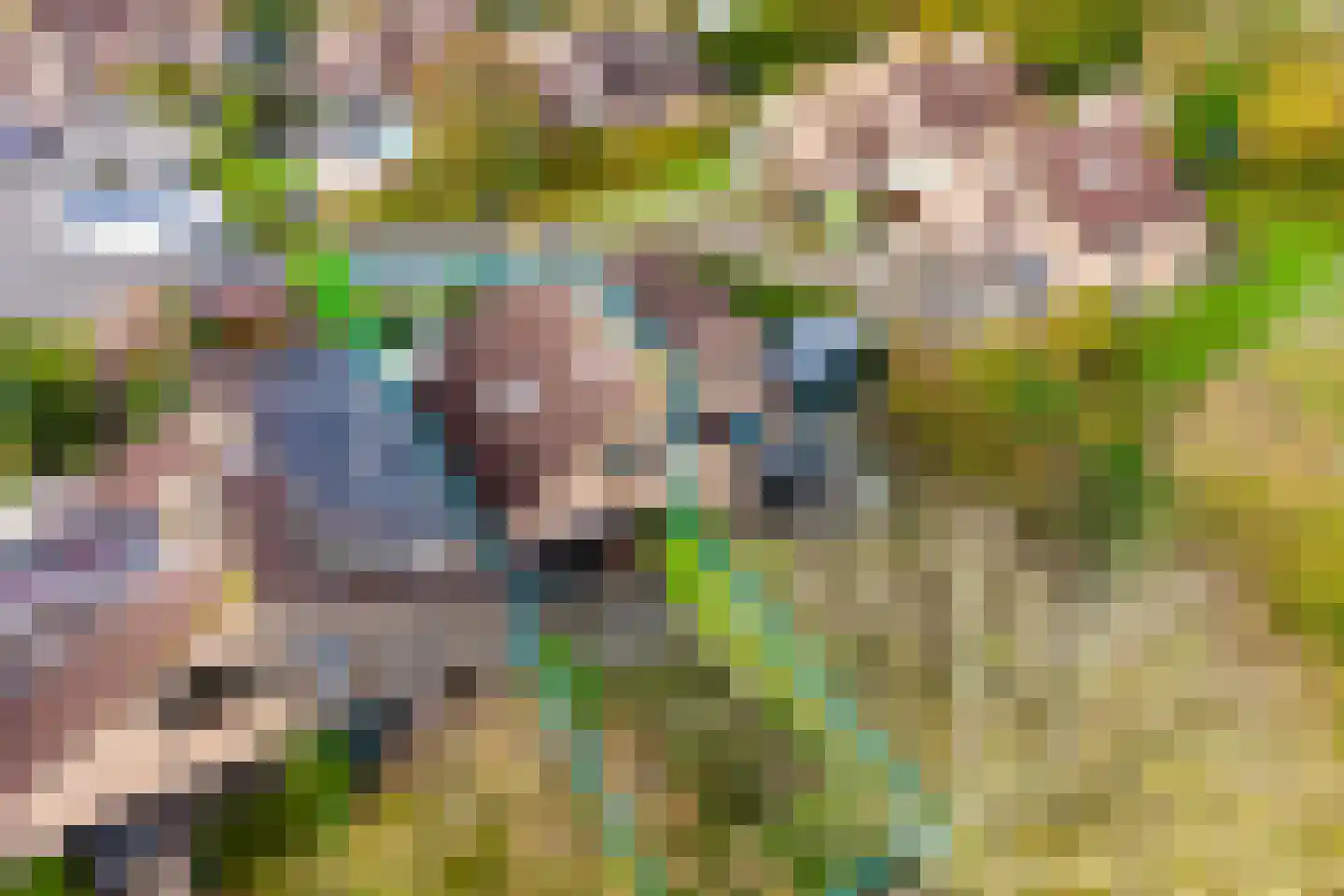 Spaanse Galeien 19 Retranchement thumbnail 8