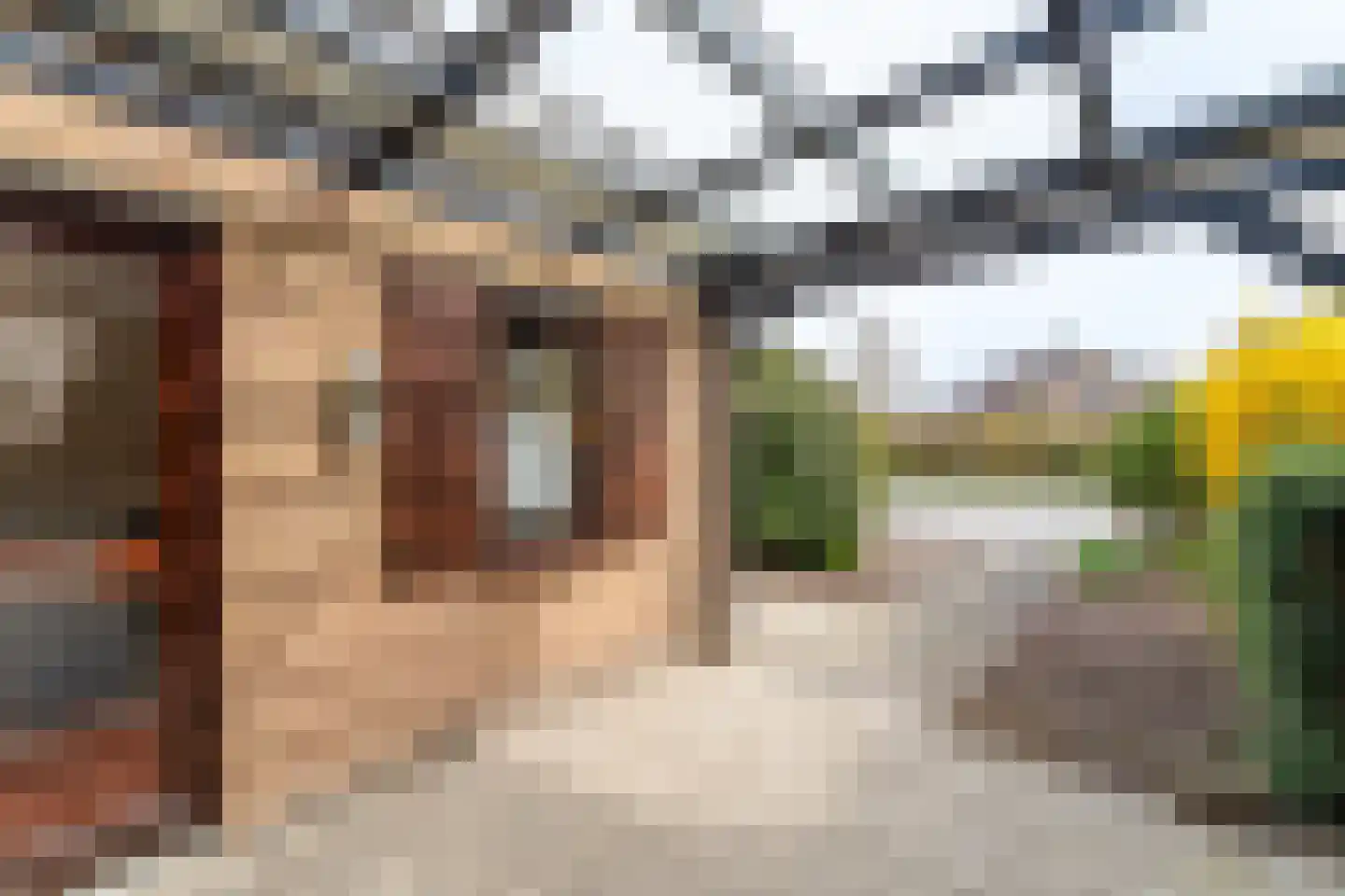 Spaanse Galeien 37 Retranchement thumbnail 11