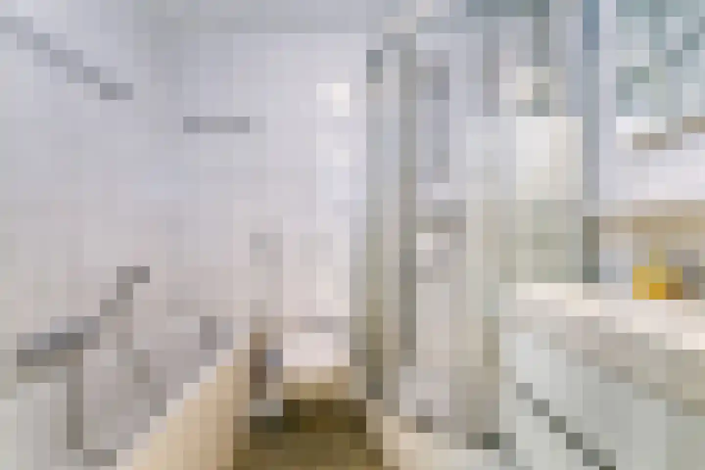 Spaanse Galeien 37 Retranchement thumbnail 14