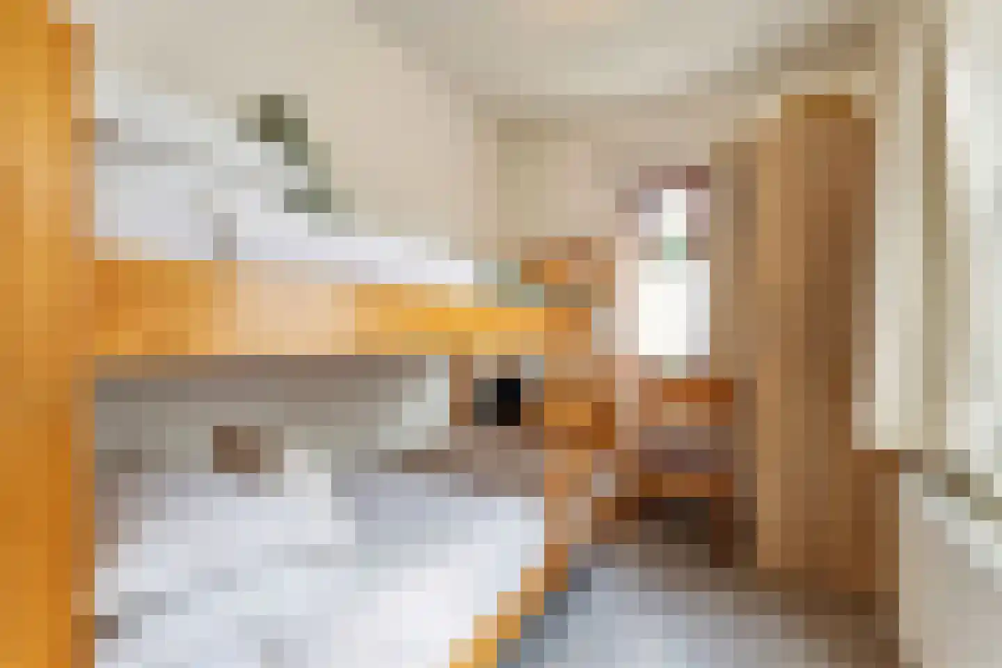 Spaanse Galeien 37 Retranchement thumbnail 15