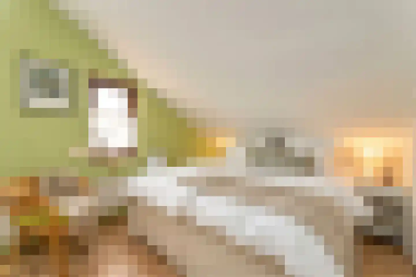 Spaanse Galeien 37 Retranchement thumbnail 4