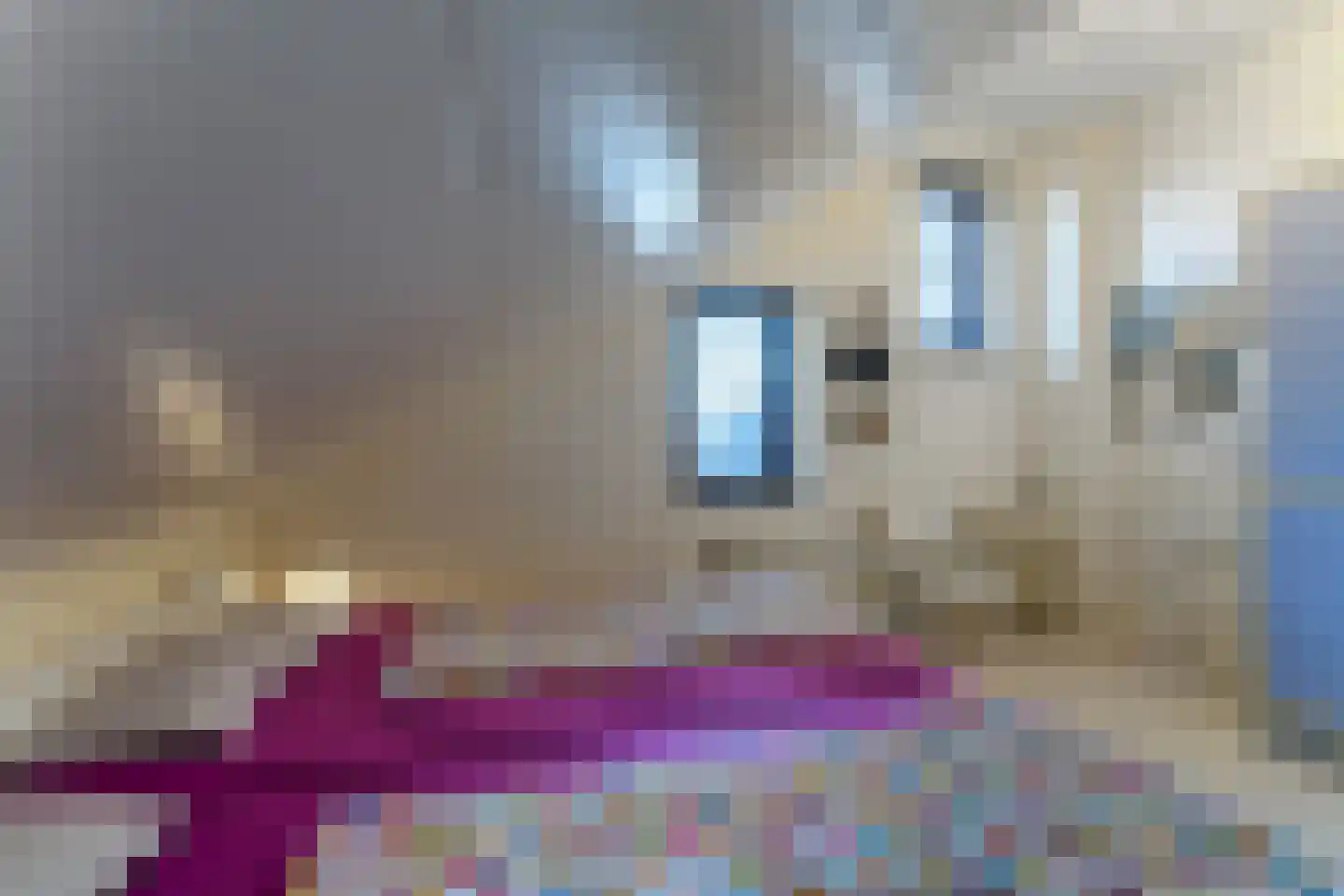 Spaanse Galeien 50 Retranchement thumbnail 16