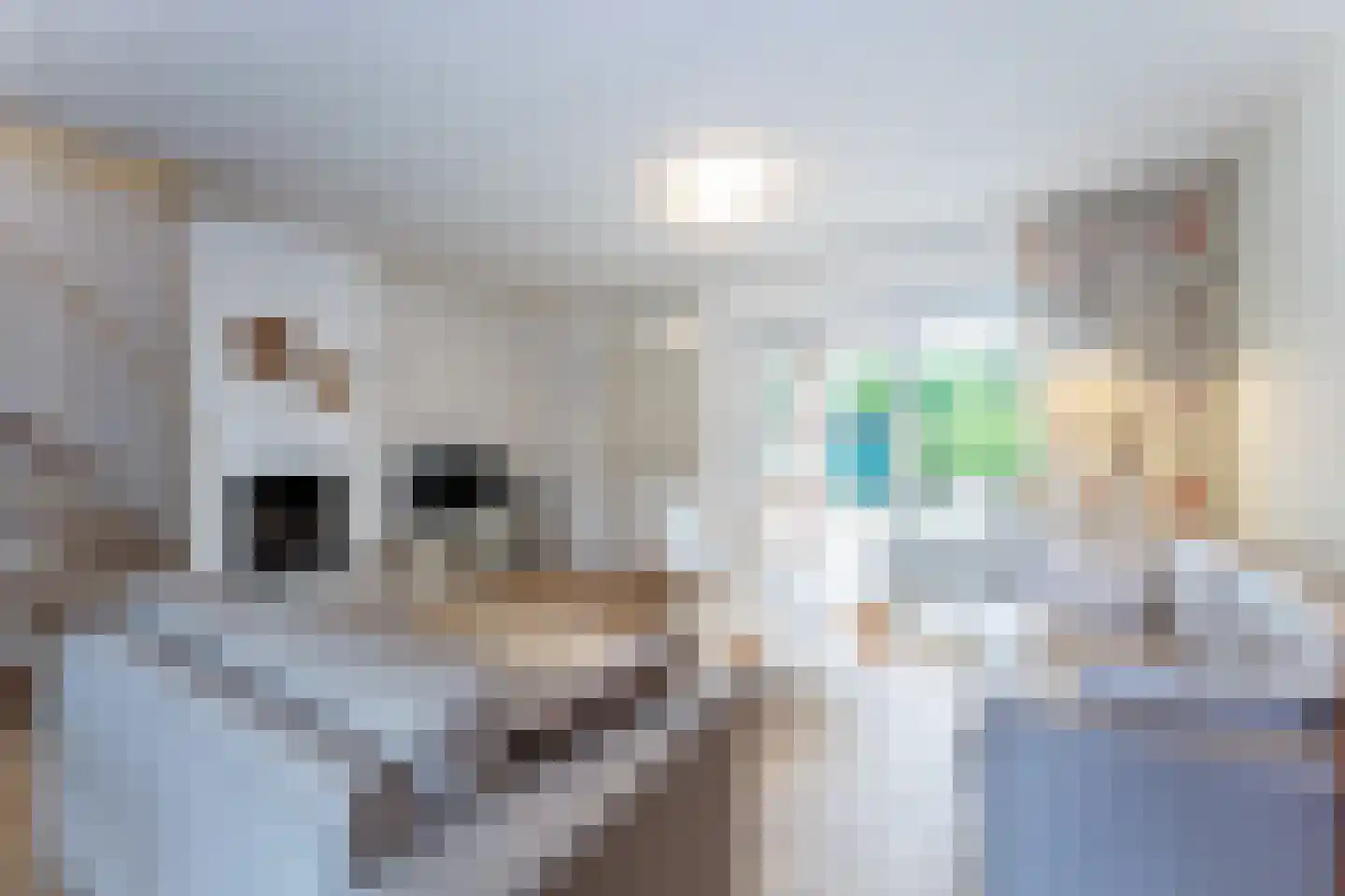 Spaanse Galeien 68 Retranchement thumbnail 11