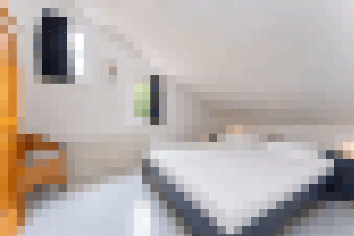 Spaanse Galeien 68 Retranchement thumbnail 18