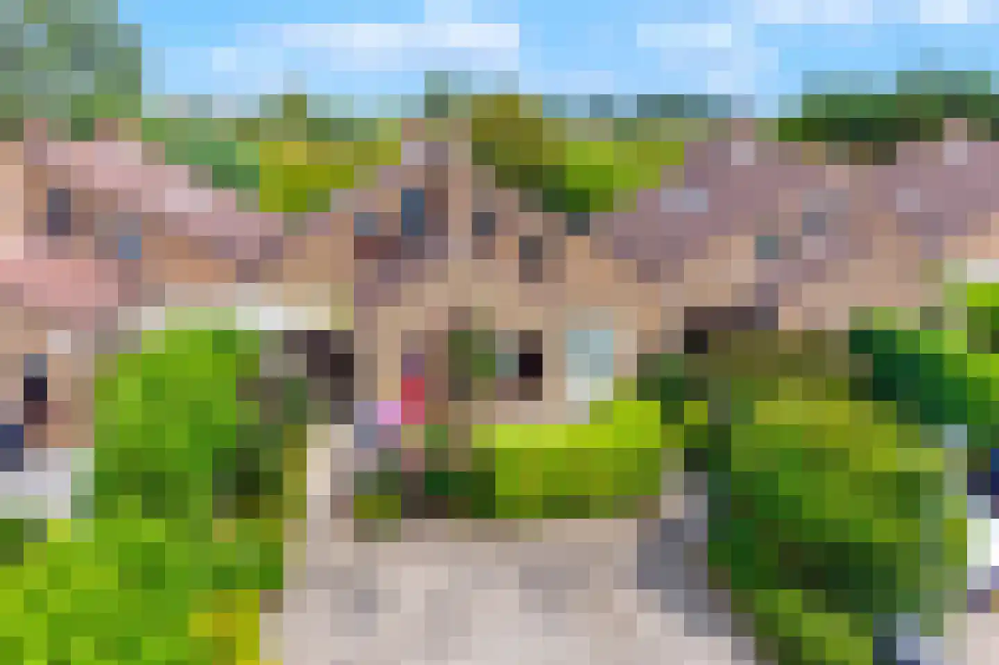 Spaanse Galeien 68 Retranchement thumbnail 21