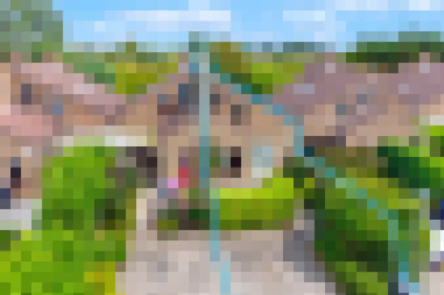 Spaanse Galeien 68 Retranchement thumbnail 5