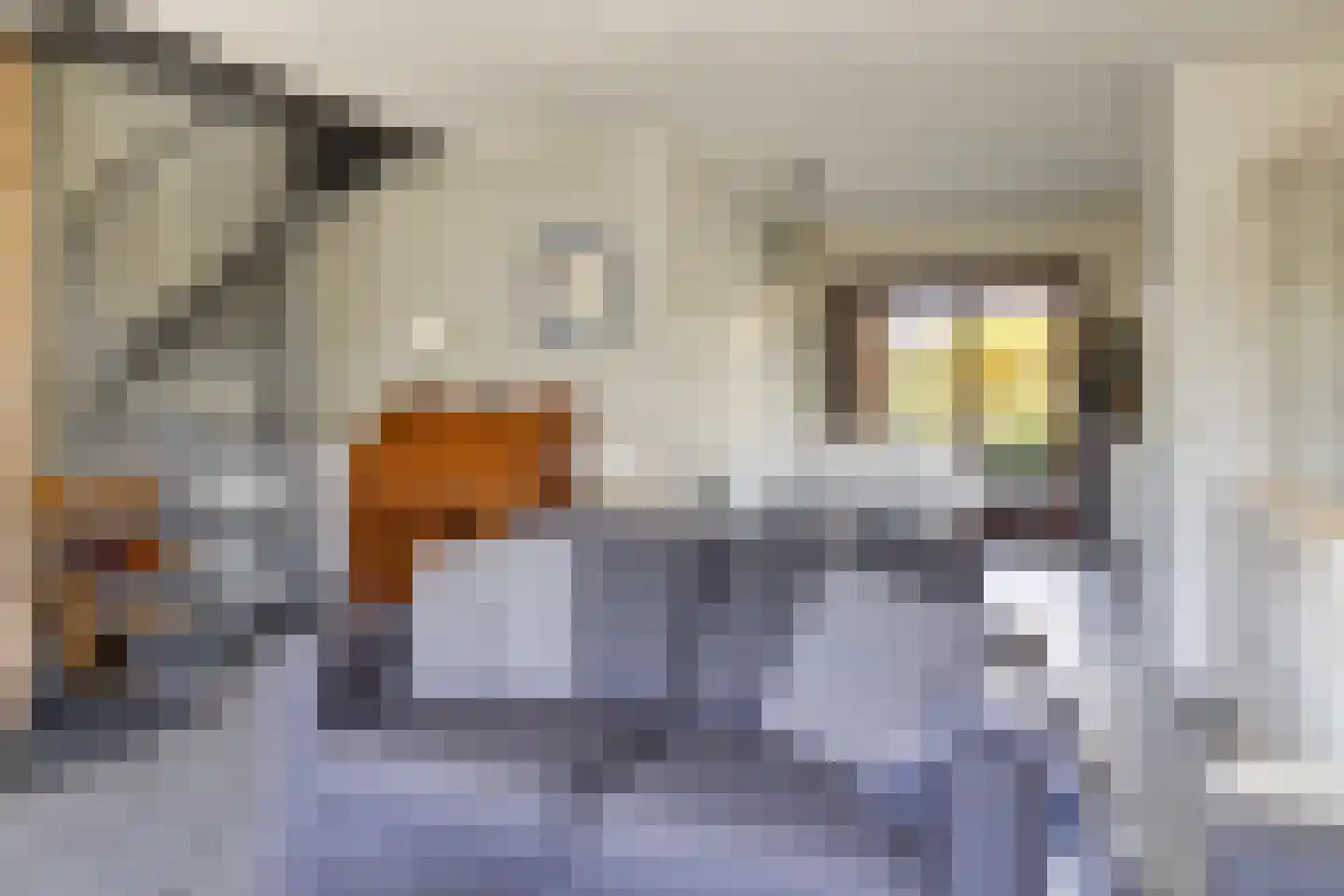 Spaanse Galeien 71 Retranchement thumbnail 12