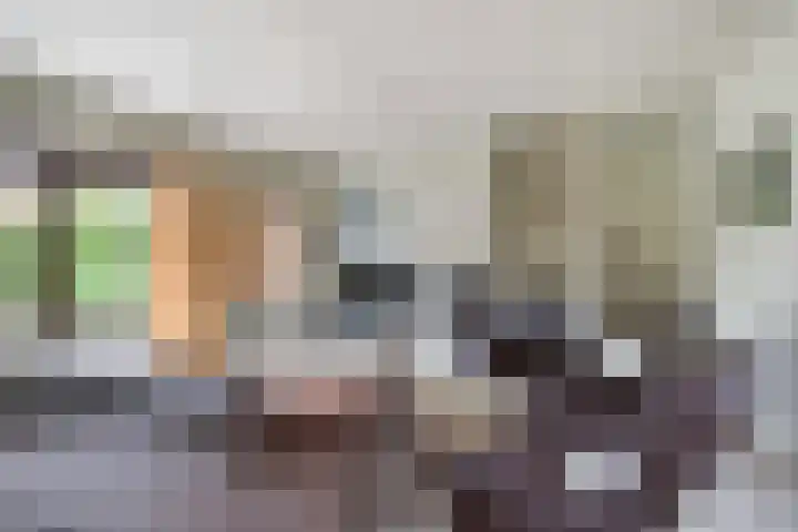 Spaanse Galeien 80 Retranchement thumbnail 6