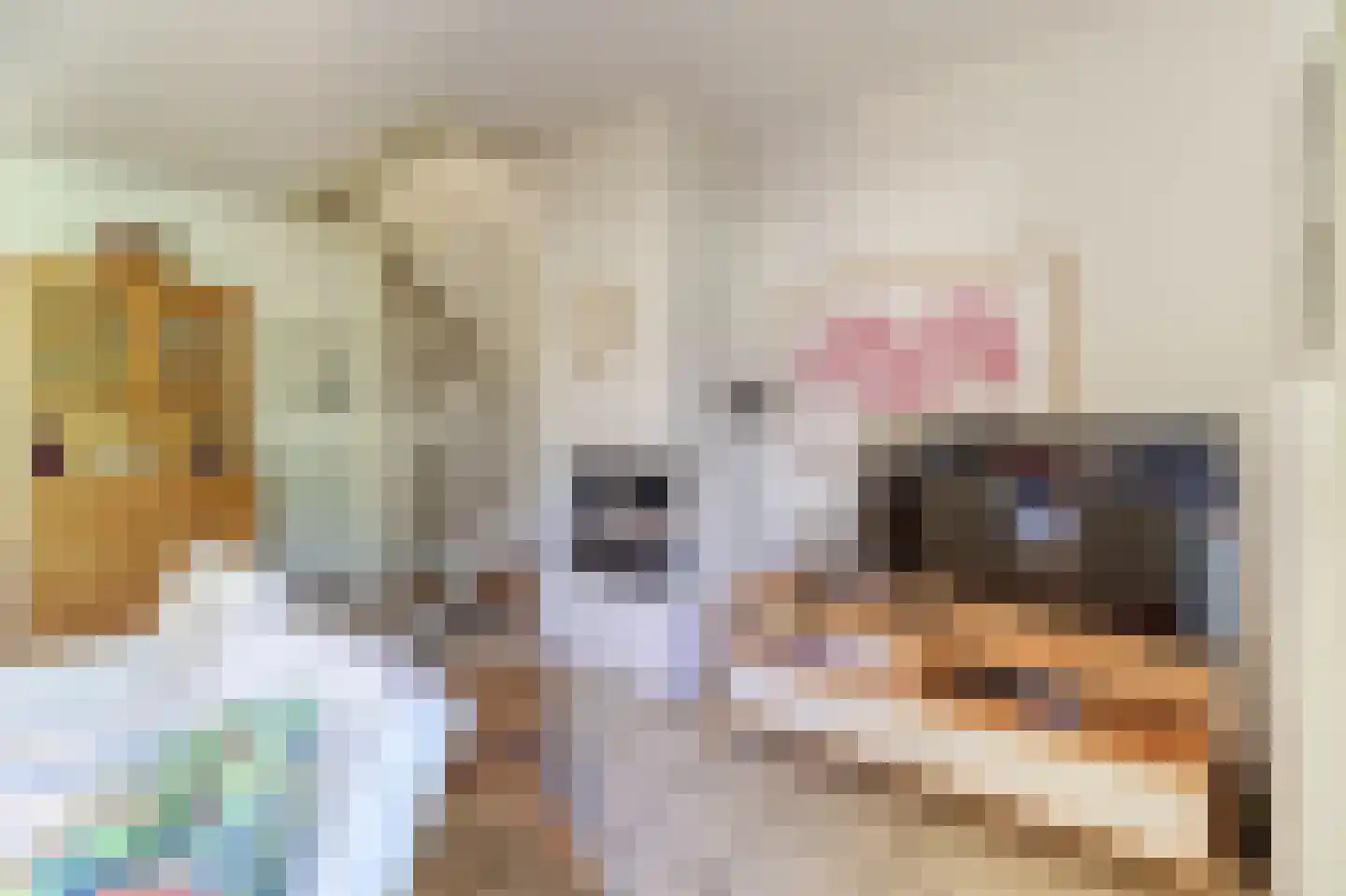 Spaanse Galeien 9 Retranchement thumbnail 12