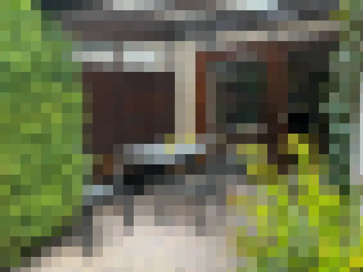 Spaanse Galeien 9 Retranchement thumbnail 26