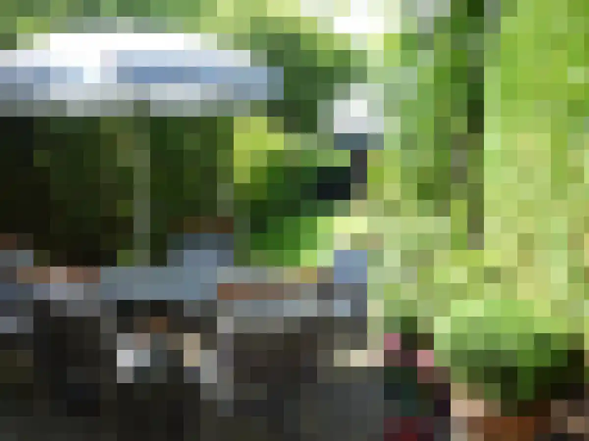Spaanse Galeien 9 Retranchement thumbnail 28