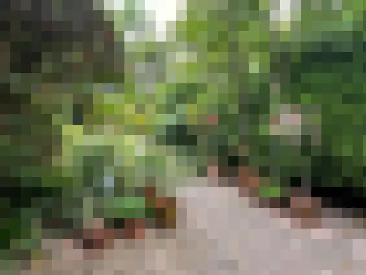 Spaanse Galeien 9 Retranchement thumbnail 29