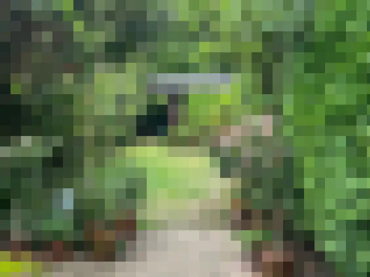Spaanse Galeien 9 Retranchement thumbnail 30