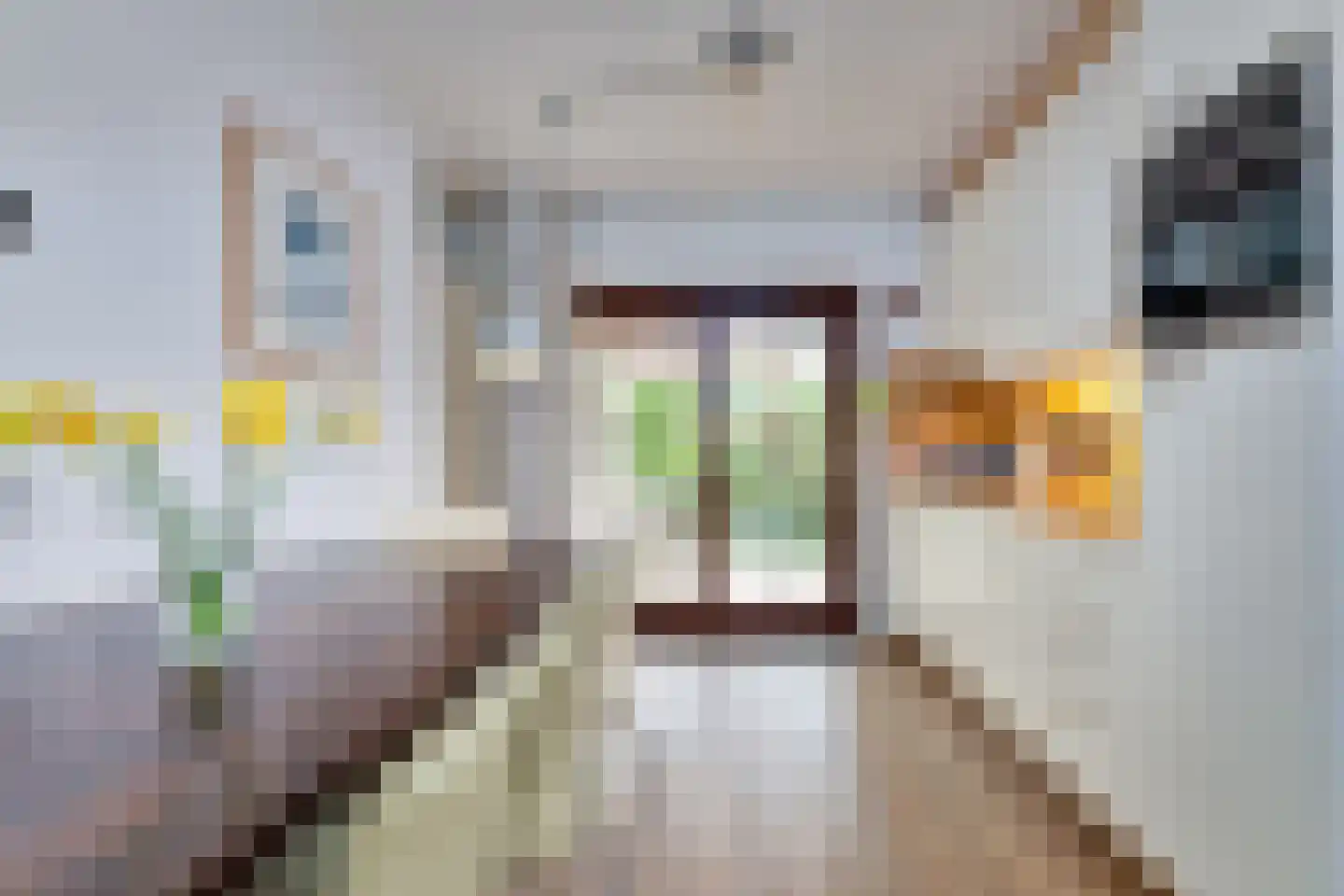 Spaanse Galeien 90 Retranchement thumbnail 11