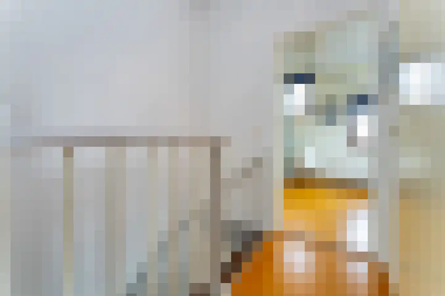 Spaanse Galeien 90 Retranchement thumbnail 17