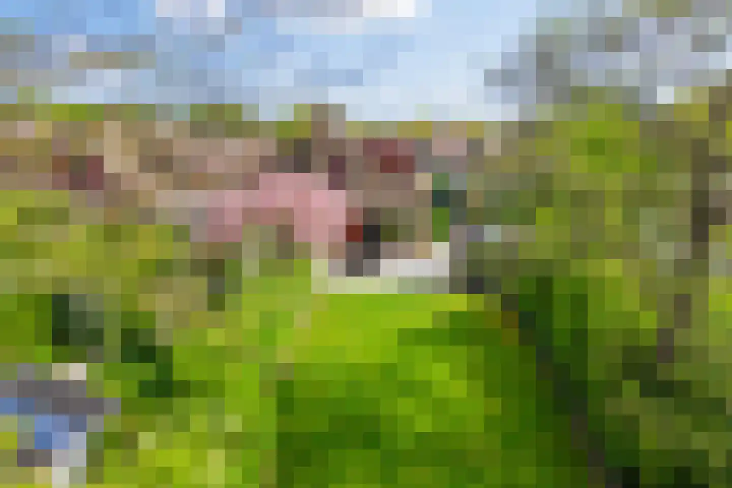 Spaanse Galeien 90 Retranchement thumbnail 7